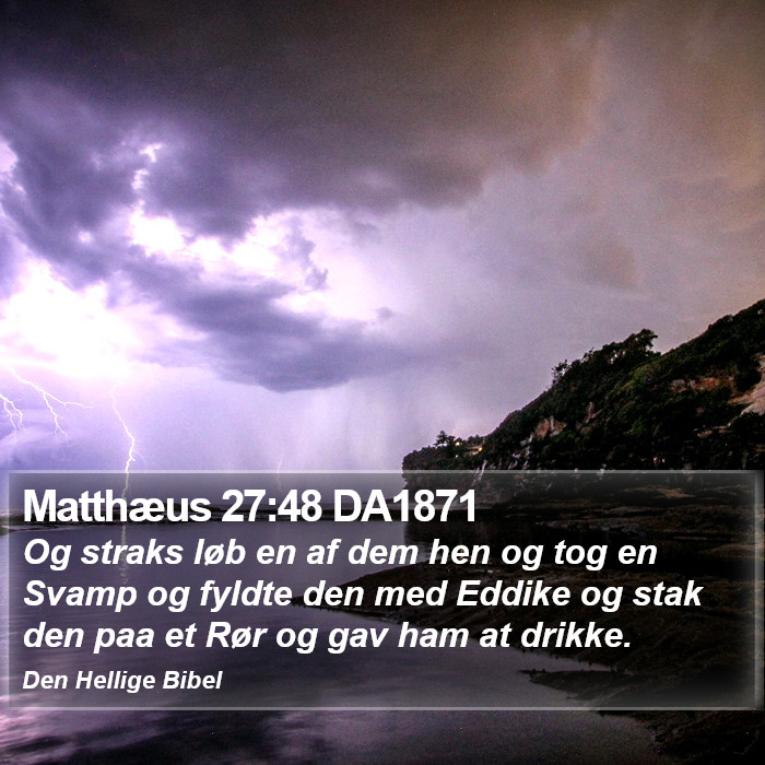 Matthæus 27:48 DA1871 Bible Study