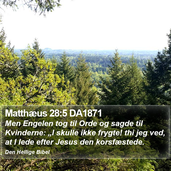 Matthæus 28:5 DA1871 Bible Study