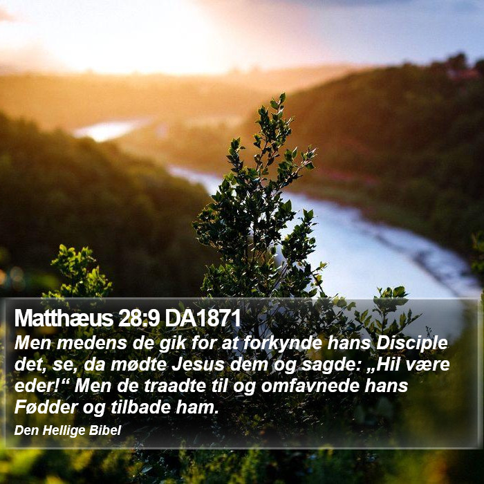 Matthæus 28:9 DA1871 Bible Study