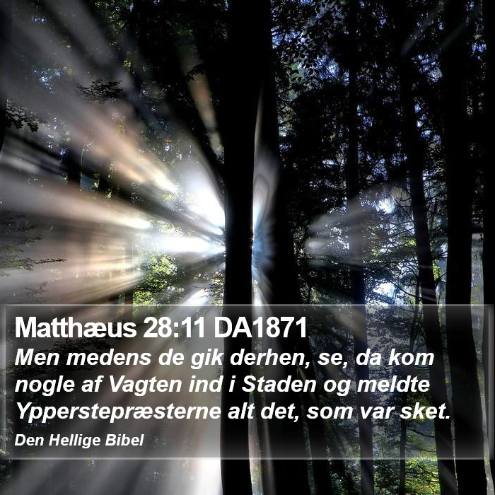 Matthæus 28:11 DA1871 Bible Study