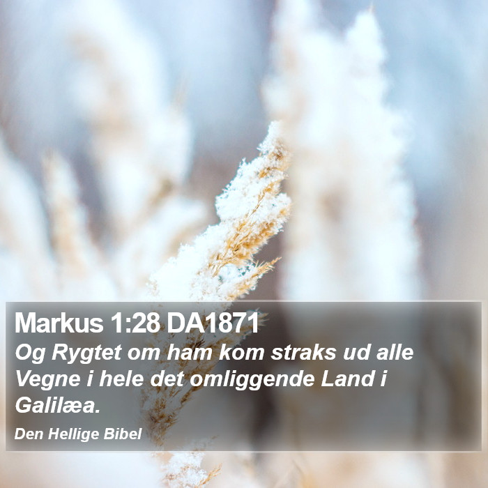 Markus 1:28 DA1871 Bible Study