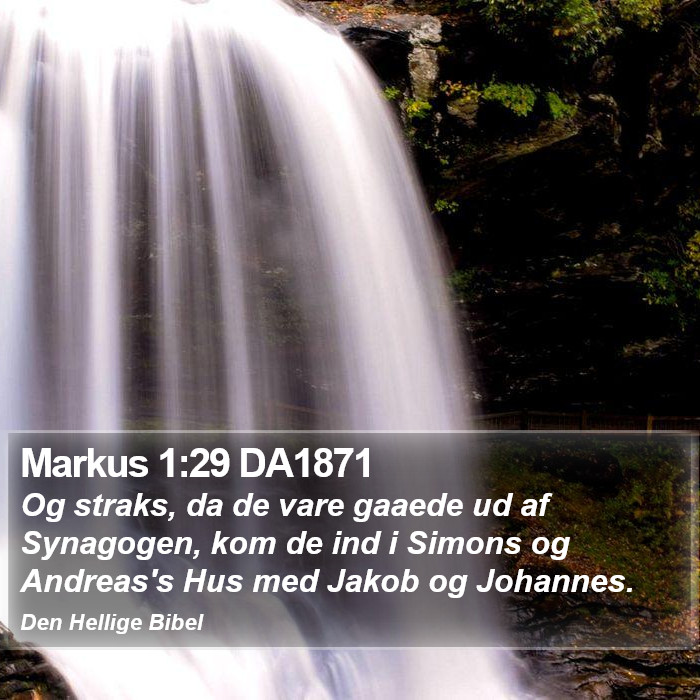 Markus 1:29 DA1871 Bible Study