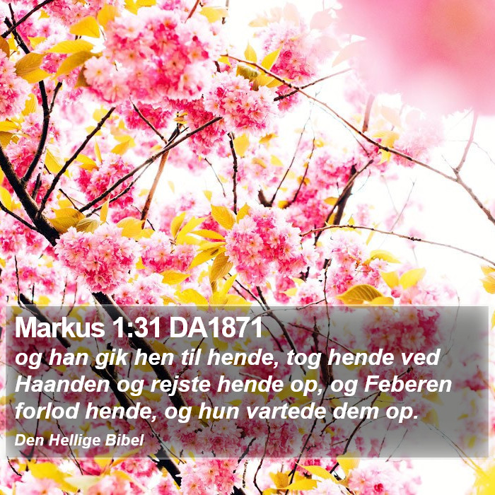 Markus 1:31 DA1871 Bible Study