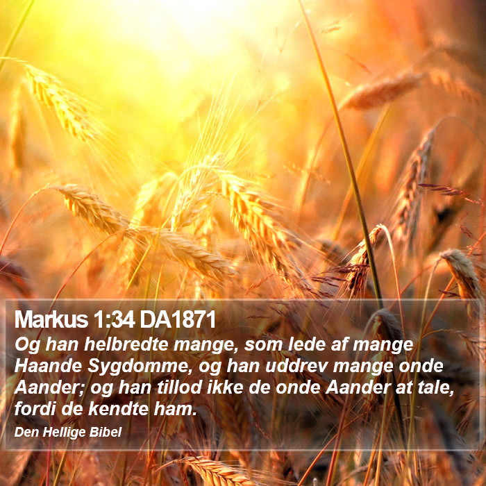 Markus 1:34 DA1871 Bible Study