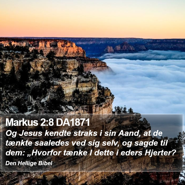 Markus 2:8 DA1871 Bible Study