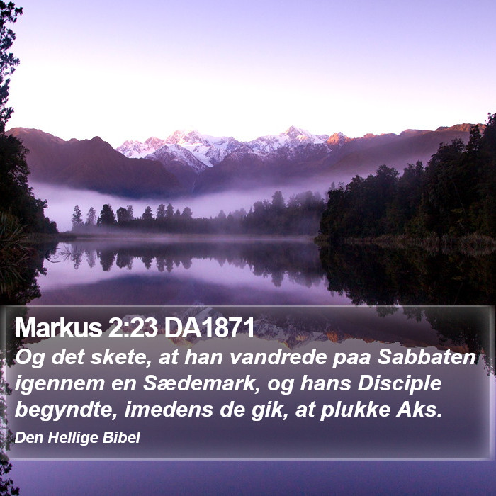 Markus 2:23 DA1871 Bible Study