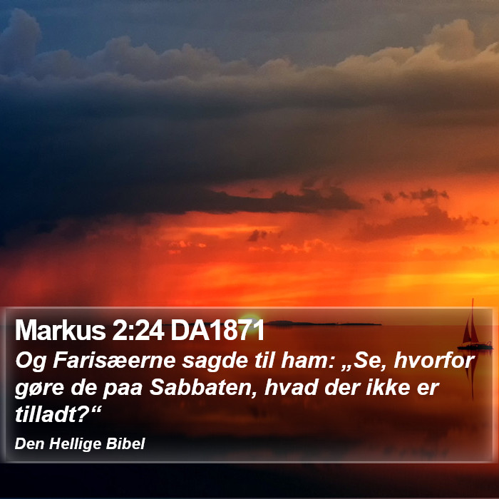 Markus 2:24 DA1871 Bible Study