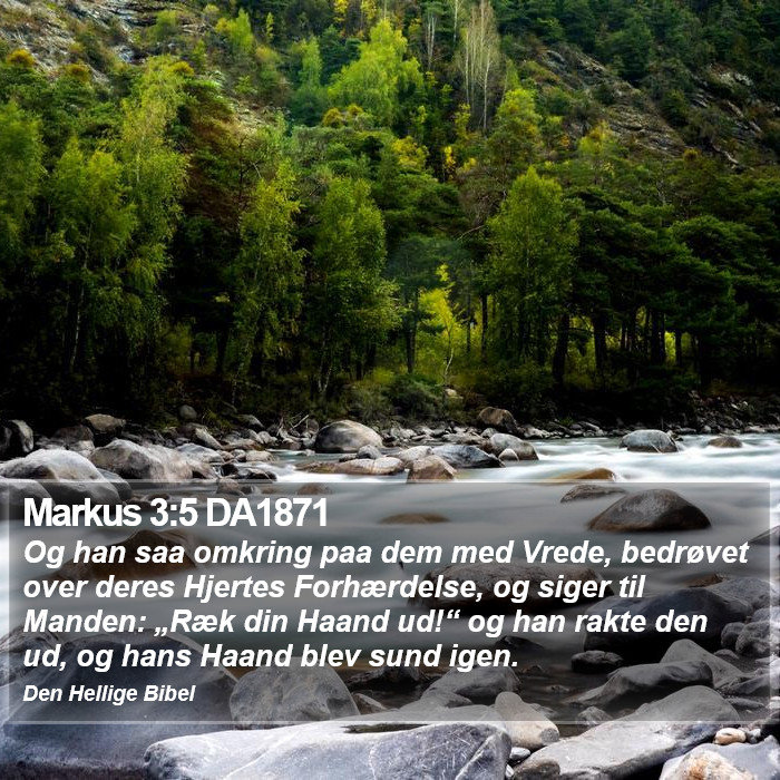 Markus 3:5 DA1871 Bible Study