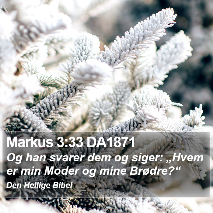 Markus 3:33 DA1871 Bible Study