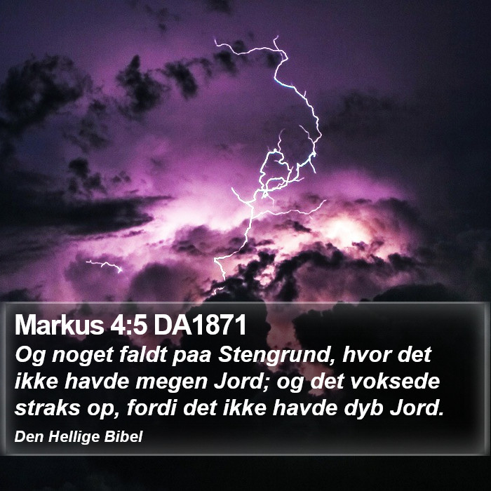 Markus 4:5 DA1871 Bible Study