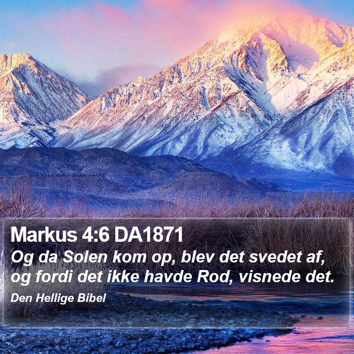 Markus 4:6 DA1871 Bible Study