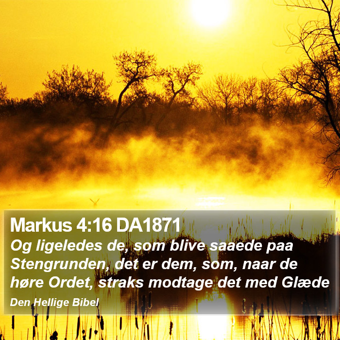 Markus 4:16 DA1871 Bible Study