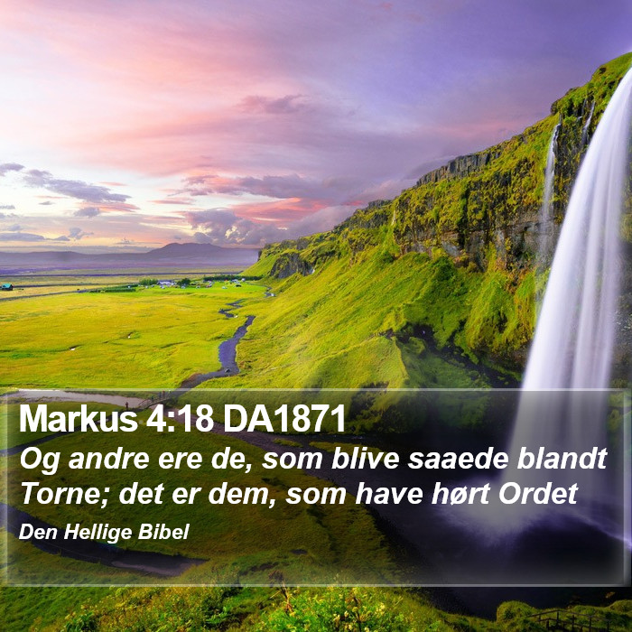 Markus 4:18 DA1871 Bible Study