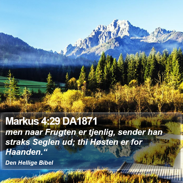 Markus 4:29 DA1871 Bible Study