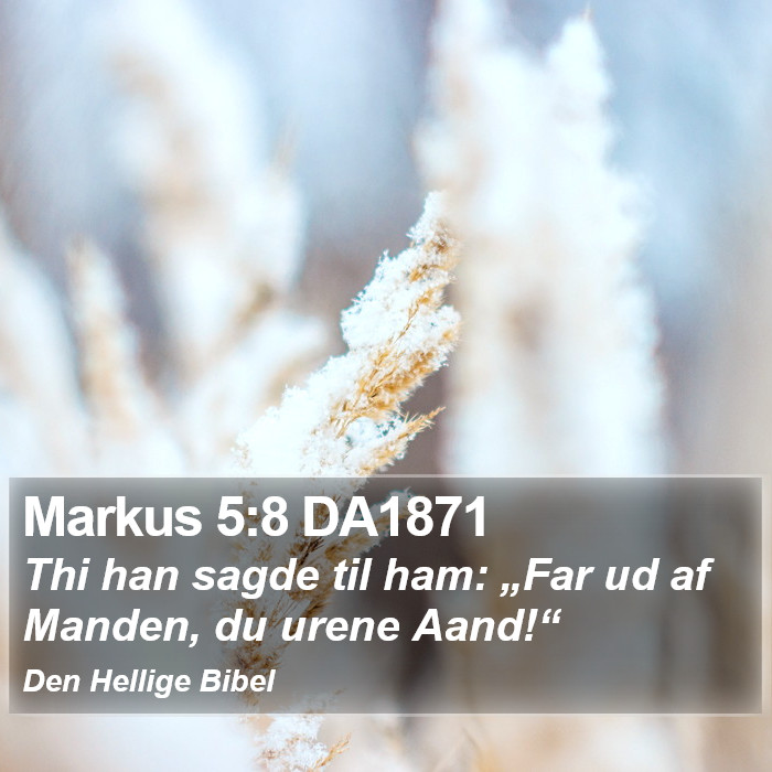 Markus 5:8 DA1871 Bible Study