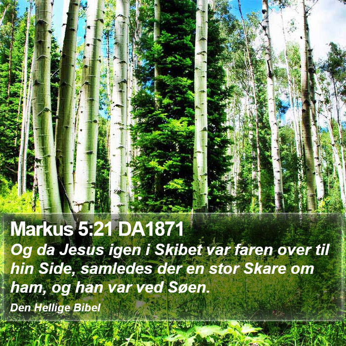 Markus 5:21 DA1871 Bible Study