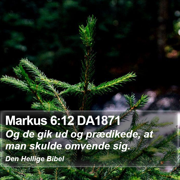 Markus 6:12 DA1871 Bible Study
