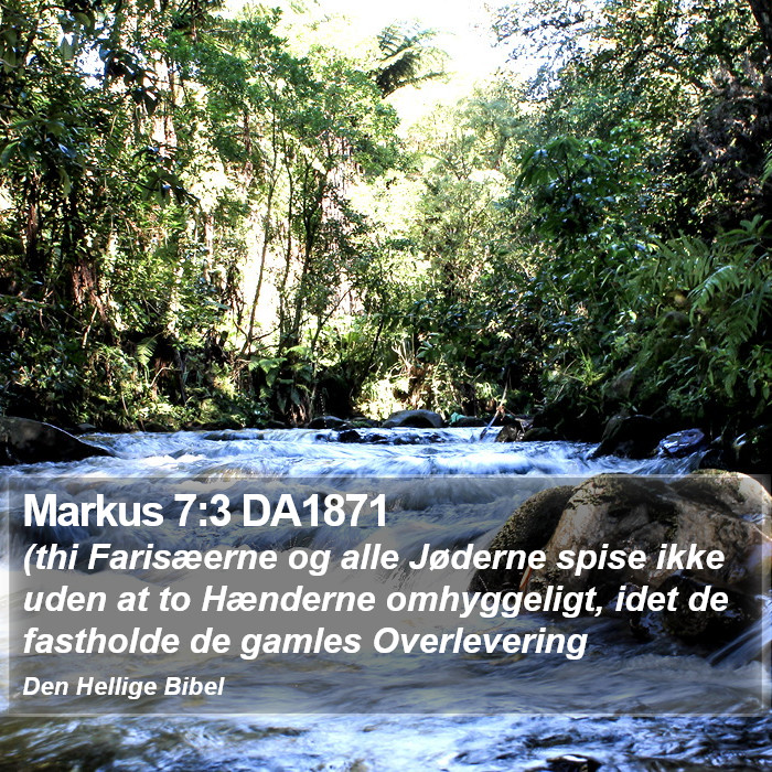 Markus 7:3 DA1871 Bible Study