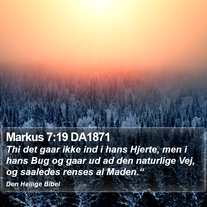 Markus 7:19 DA1871 Bible Study