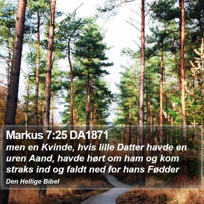 Markus 7:25 DA1871 Bible Study