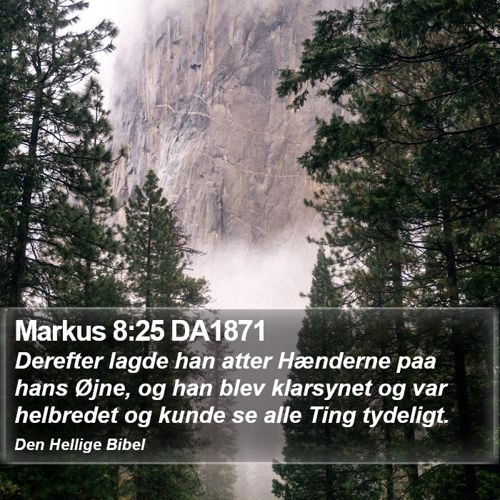 Markus 8:25 DA1871 Bible Study