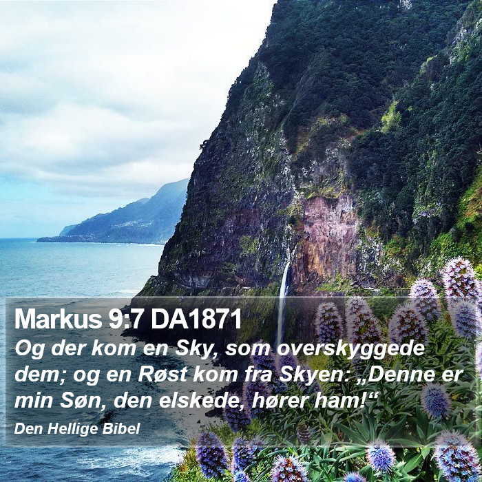 Markus 9:7 DA1871 Bible Study