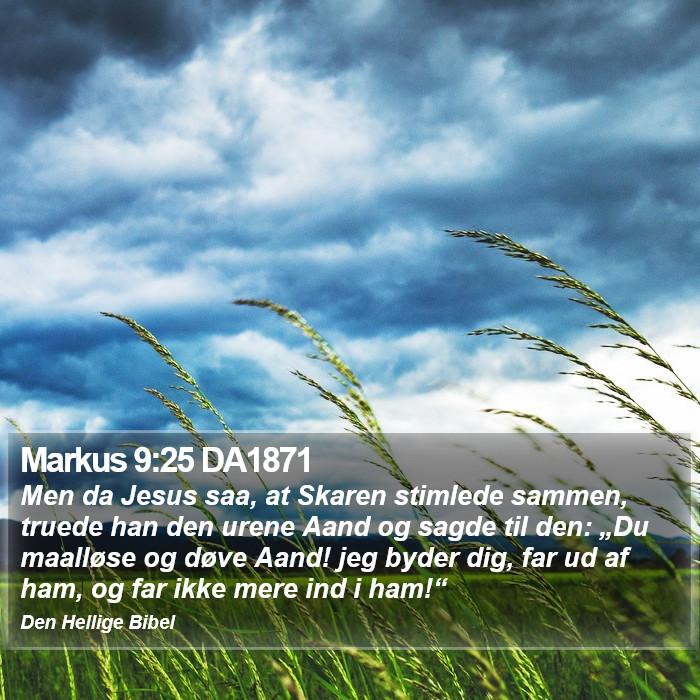 Markus 9:25 DA1871 Bible Study