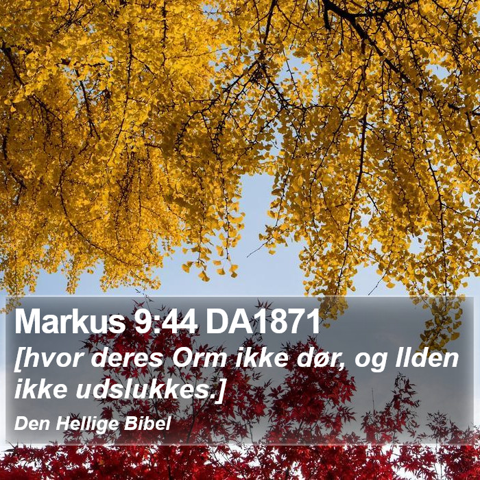 Markus 9:44 DA1871 Bible Study