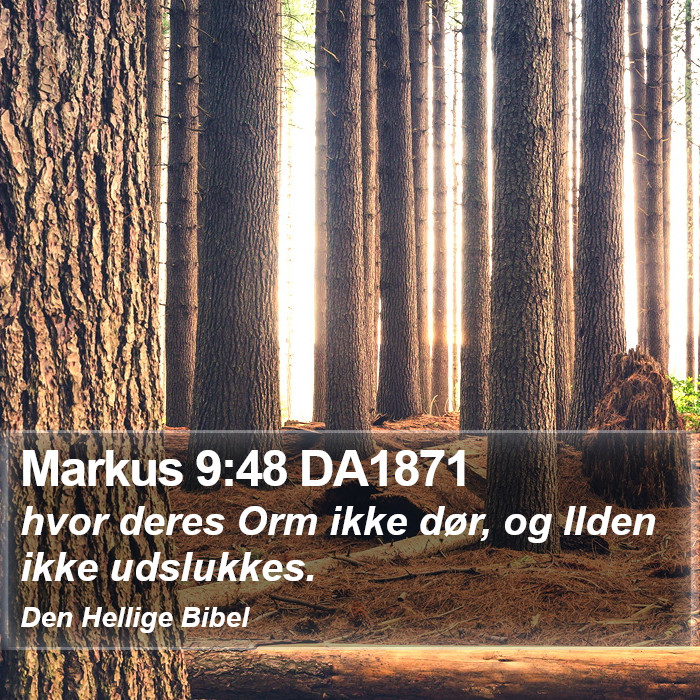 Markus 9:48 DA1871 Bible Study