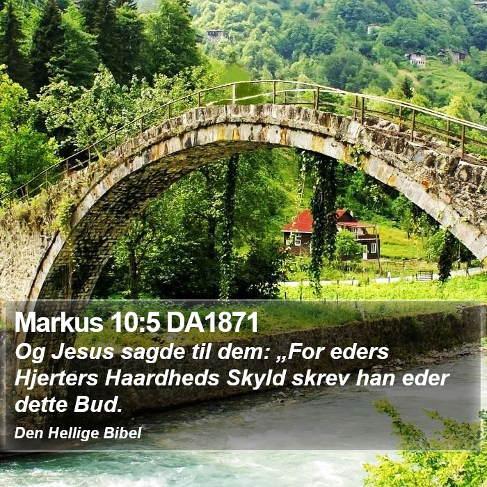 Markus 10:5 DA1871 Bible Study