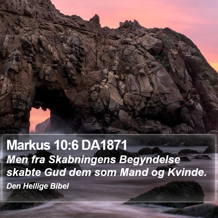 Markus 10:6 DA1871 Bible Study