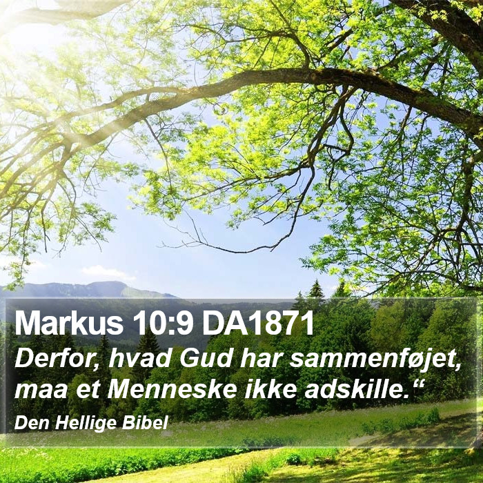 Markus 10:9 DA1871 Bible Study