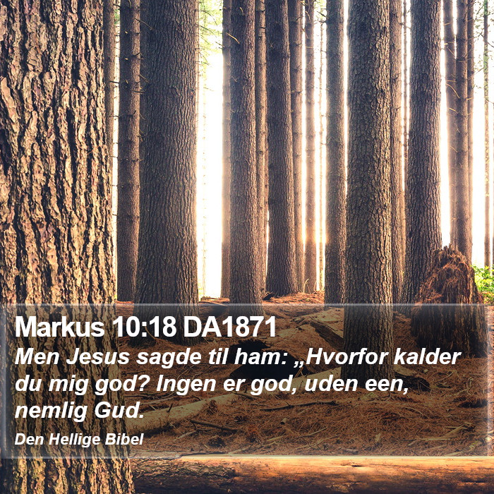 Markus 10:18 DA1871 Bible Study