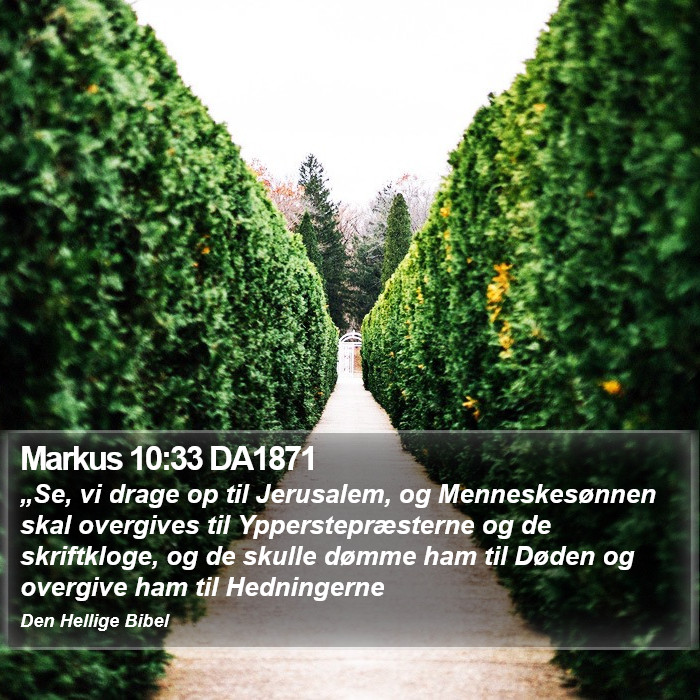 Markus 10:33 DA1871 Bible Study