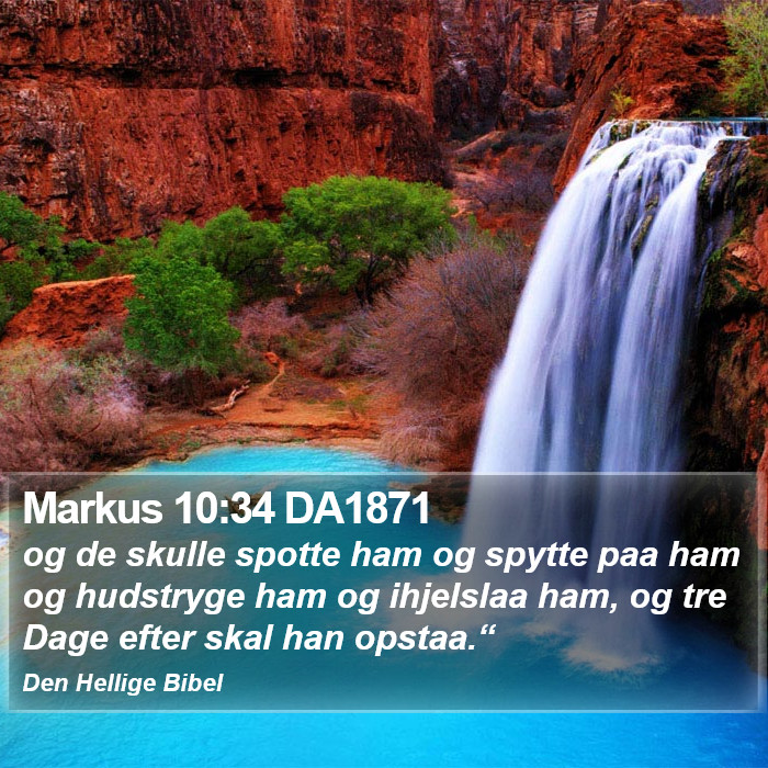 Markus 10:34 DA1871 Bible Study