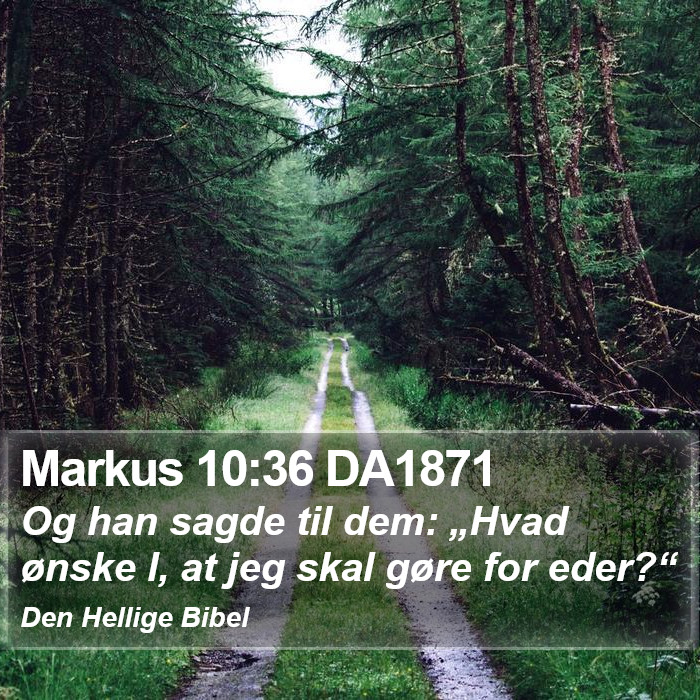 Markus 10:36 DA1871 Bible Study