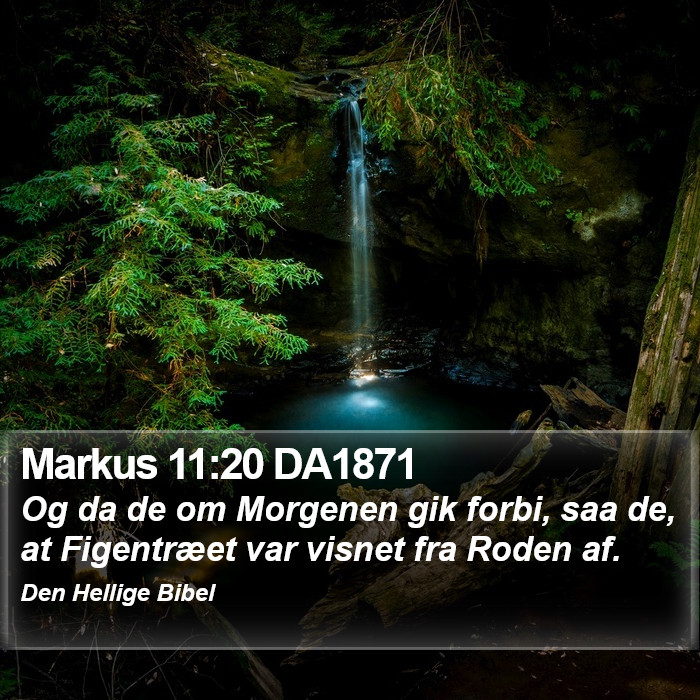 Markus 11:20 DA1871 Bible Study