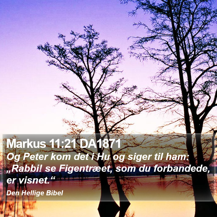 Markus 11:21 DA1871 Bible Study
