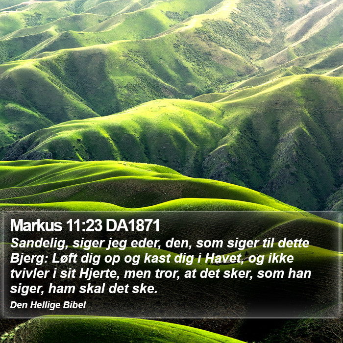 Markus 11:23 DA1871 Bible Study