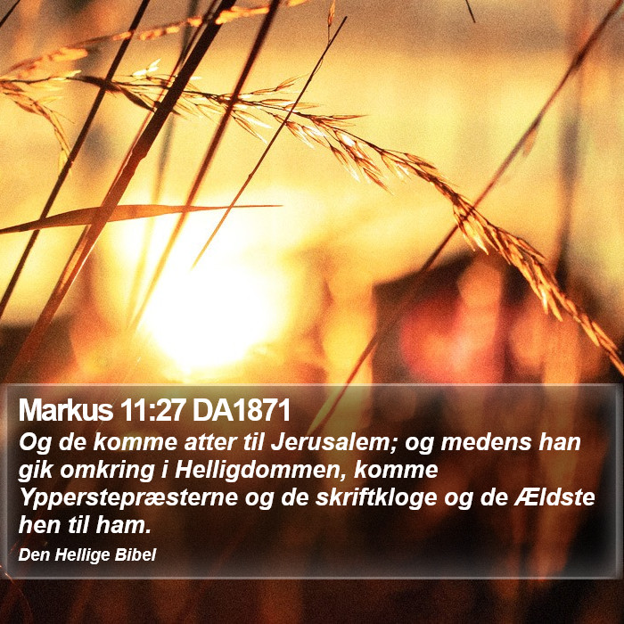 Markus 11:27 DA1871 Bible Study