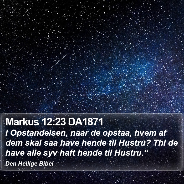 Markus 12:23 DA1871 Bible Study