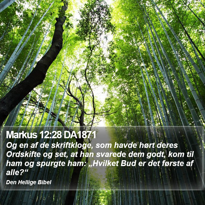 Markus 12:28 DA1871 Bible Study