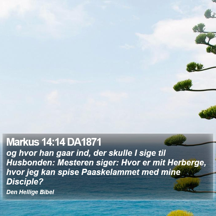 Markus 14:14 DA1871 Bible Study