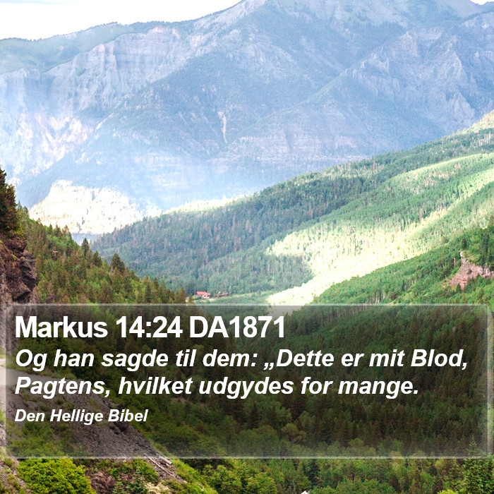 Markus 14:24 DA1871 Bible Study