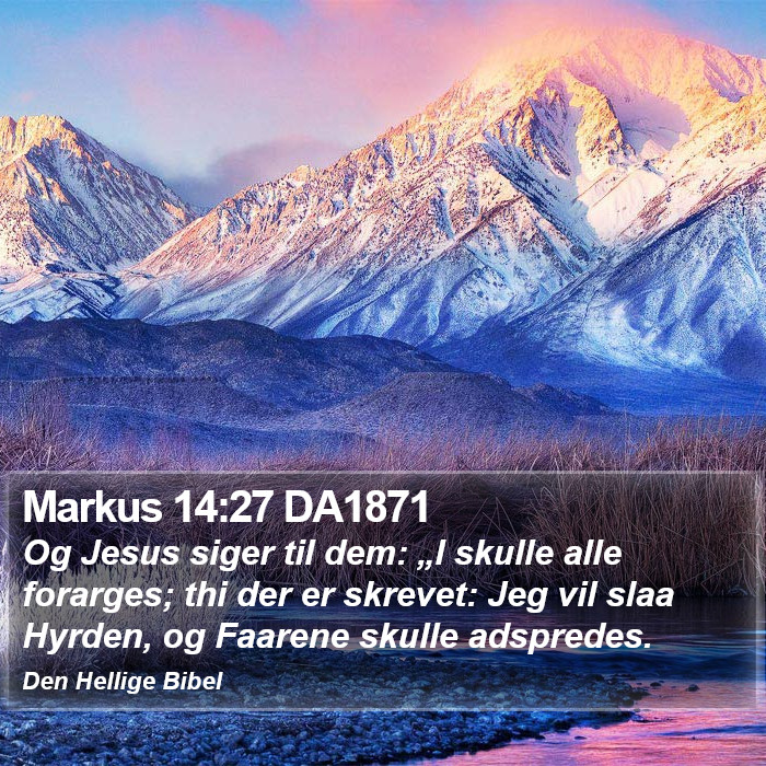 Markus 14:27 DA1871 Bible Study