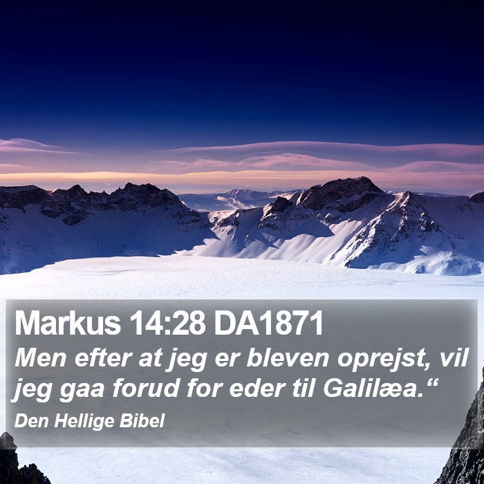 Markus 14:28 DA1871 Bible Study
