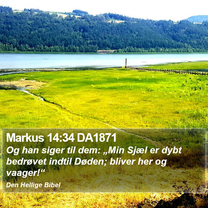 Markus 14:34 DA1871 Bible Study