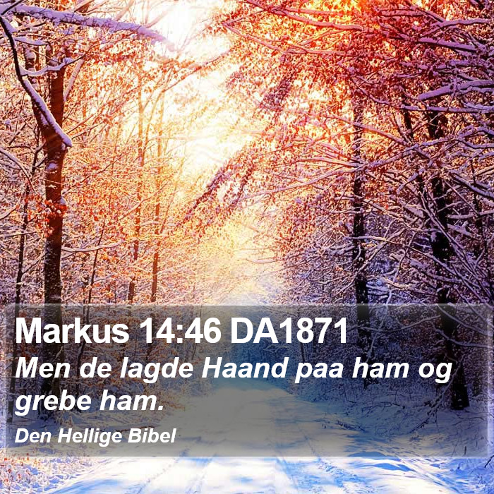 Markus 14:46 DA1871 Bible Study