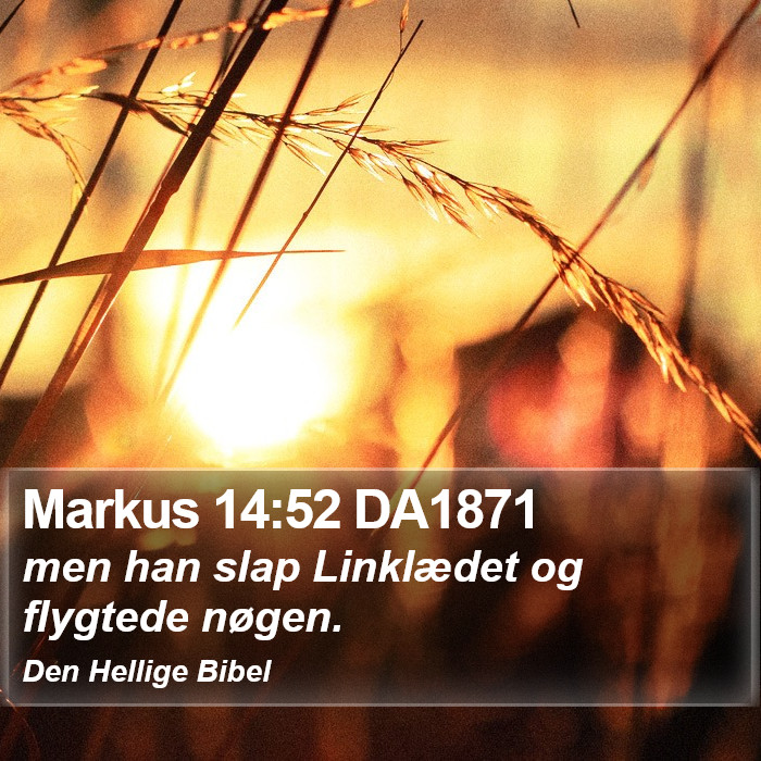 Markus 14:52 DA1871 Bible Study