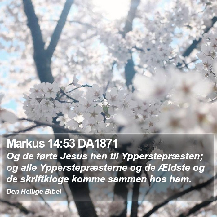 Markus 14:53 DA1871 Bible Study